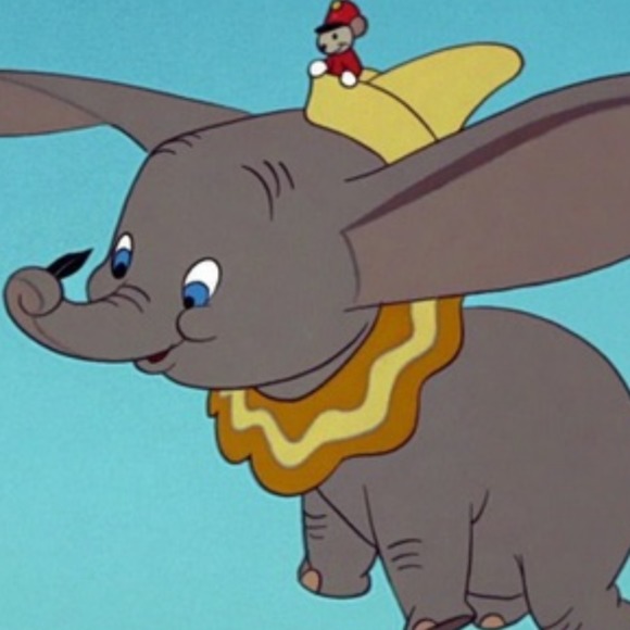 daisydumbo
